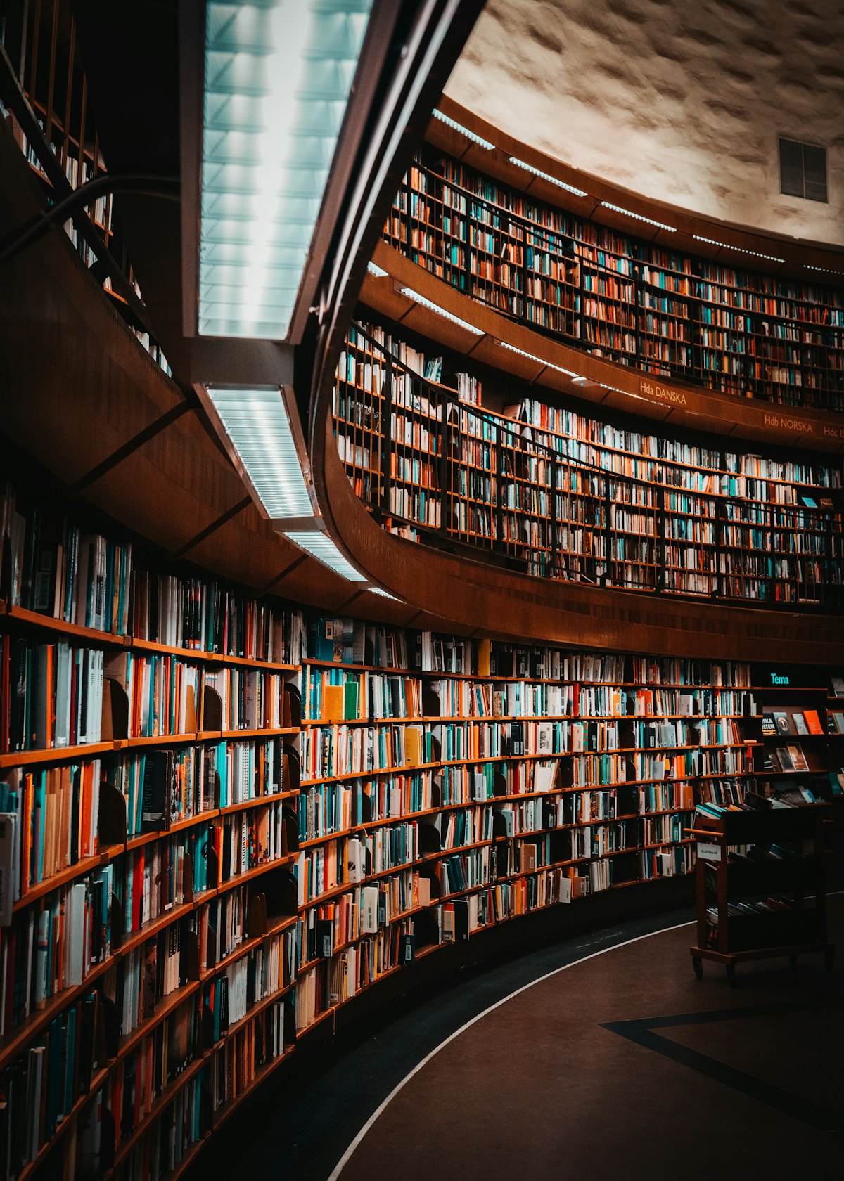 The reading rotunda