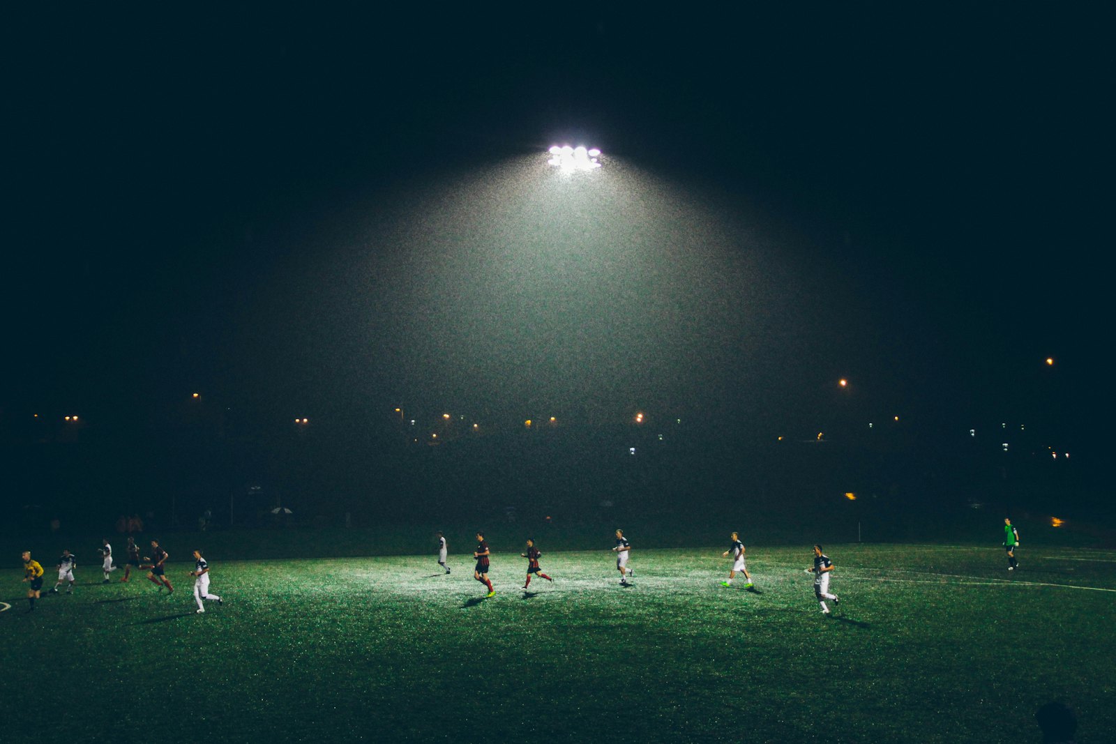 Sports Fields & Playground